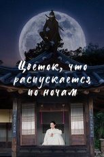 Дорама «Ночной цветок»